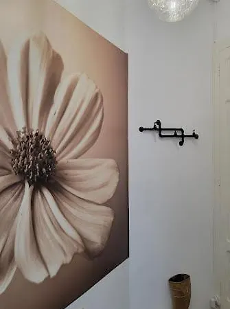 House Pajarillo Apartman Vigo